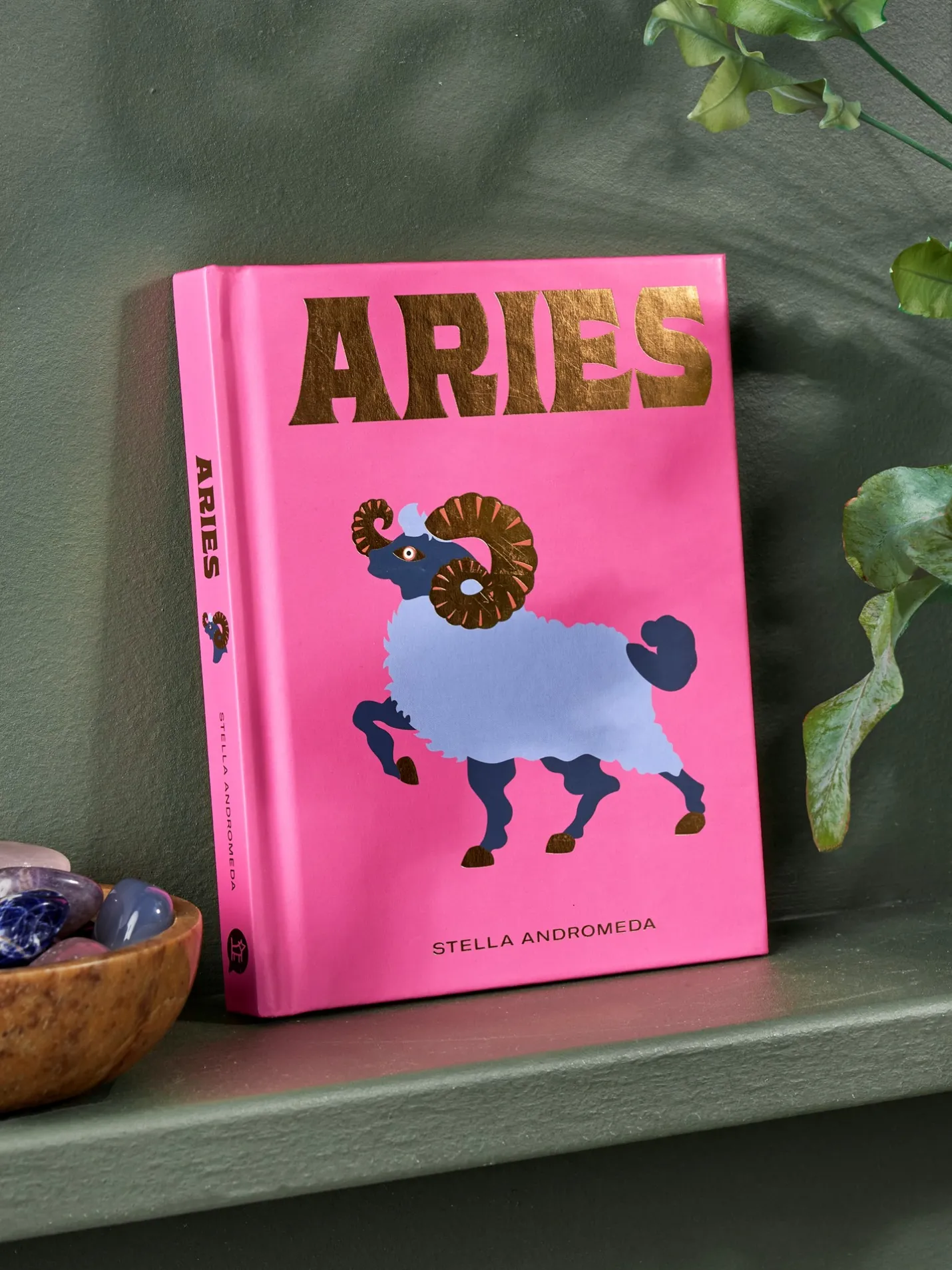 Online Søstrene Grene Schweiz Aries Coral