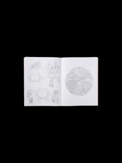 Sale Søstrene Grene Schweiz Beautiful Planet Malbuch Yellow