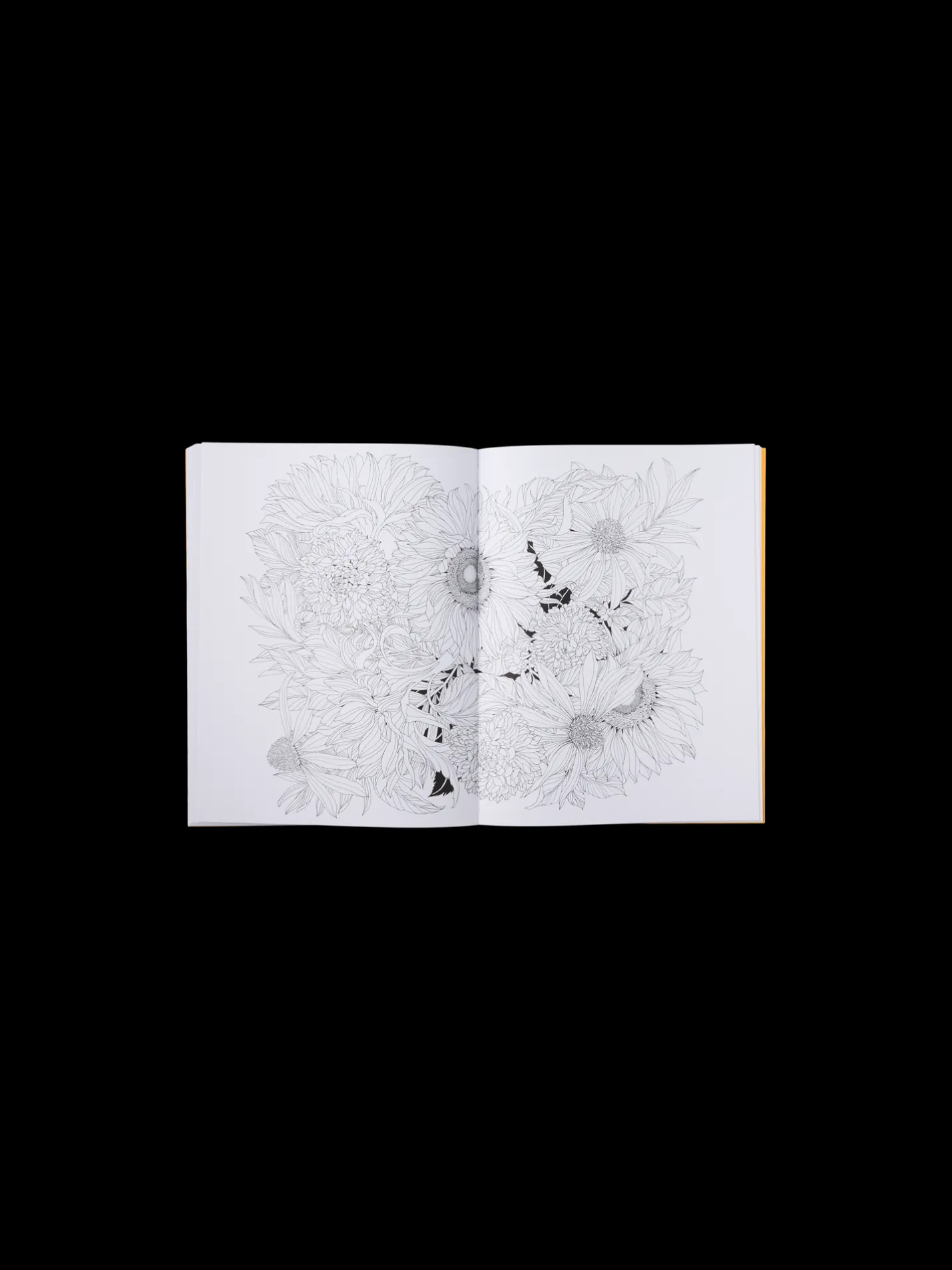 Sale Søstrene Grene Schweiz Beautiful Planet Malbuch Yellow
