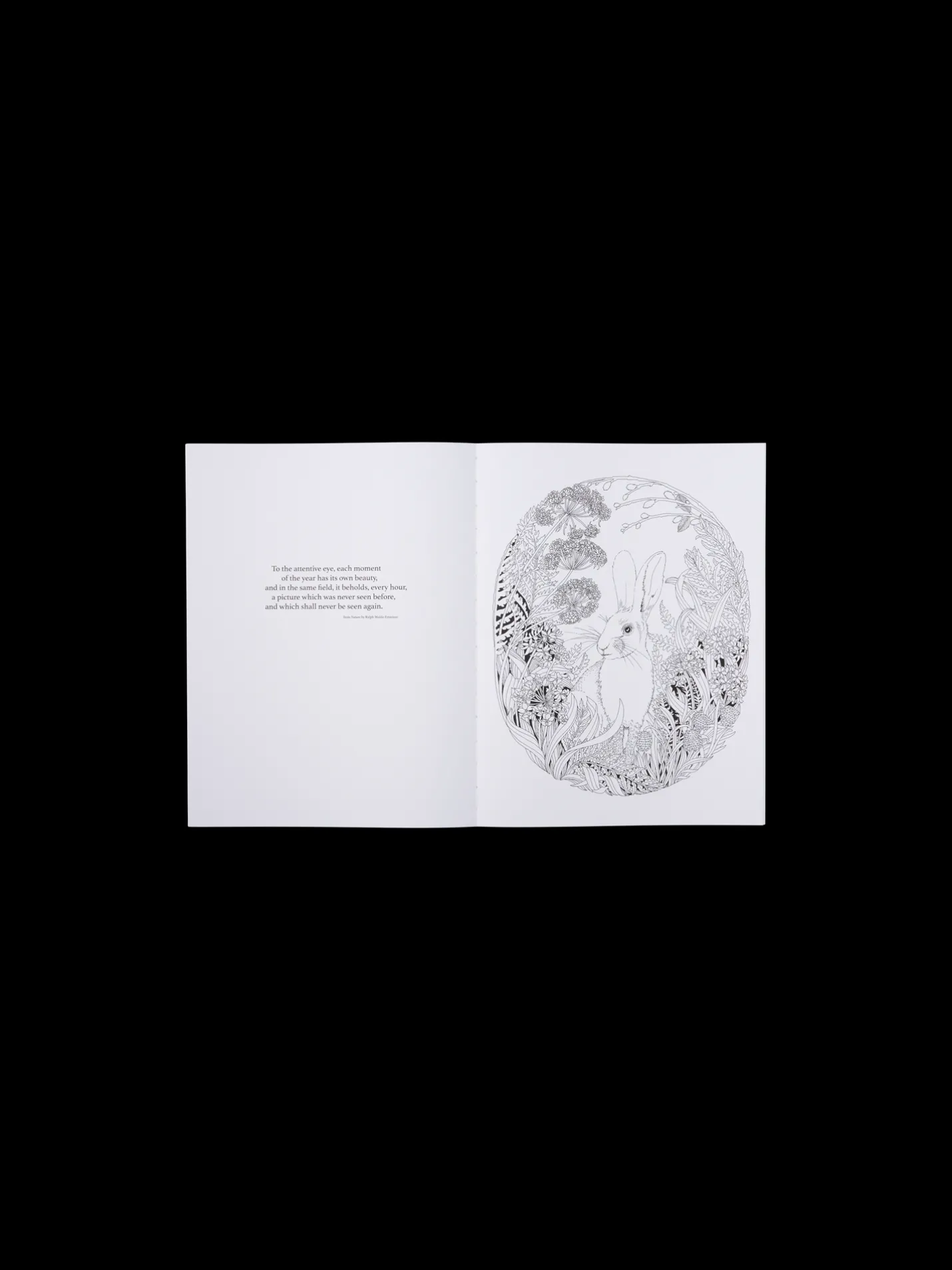 Discount Søstrene Grene Schweiz Beautiful Planet Malbuch Fern Green