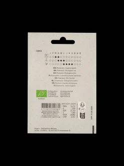 Outlet Søstrene Grene Schweiz Bio-Rosmarinsamen Green