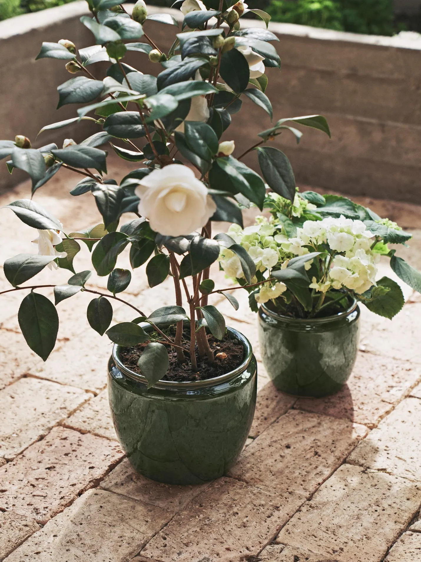 Online Søstrene Grene Schweiz Blumentopf Forest Green