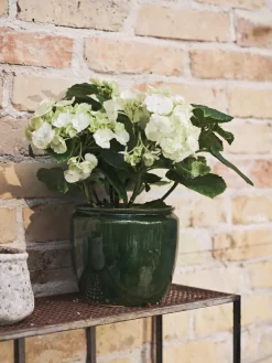 Online Søstrene Grene Schweiz Blumentopf Forest Green