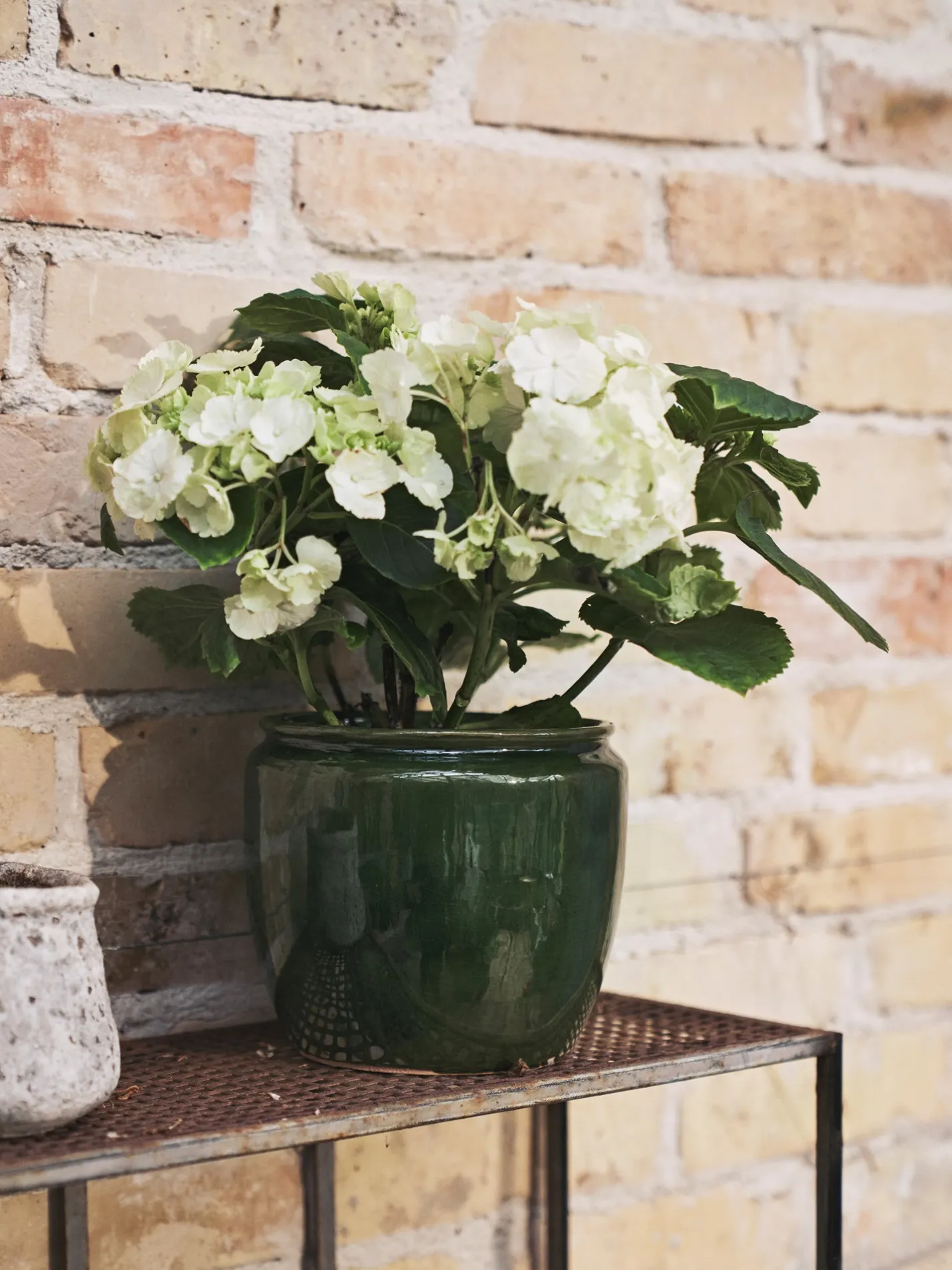 Online Søstrene Grene Schweiz Blumentopf Forest Green