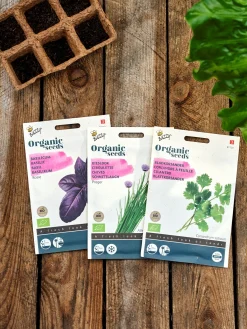 New Søstrene Grene Schweiz Buzzy® Bio-Basilikum Rosie Multi