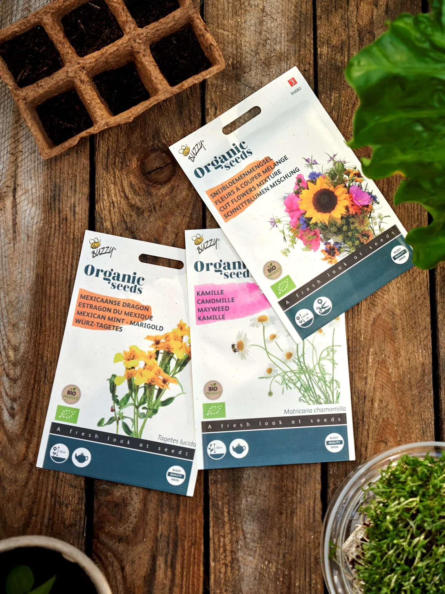 Best Søstrene Grene Schweiz Buzzy® Mexikanische Bio-Samtblume Multi