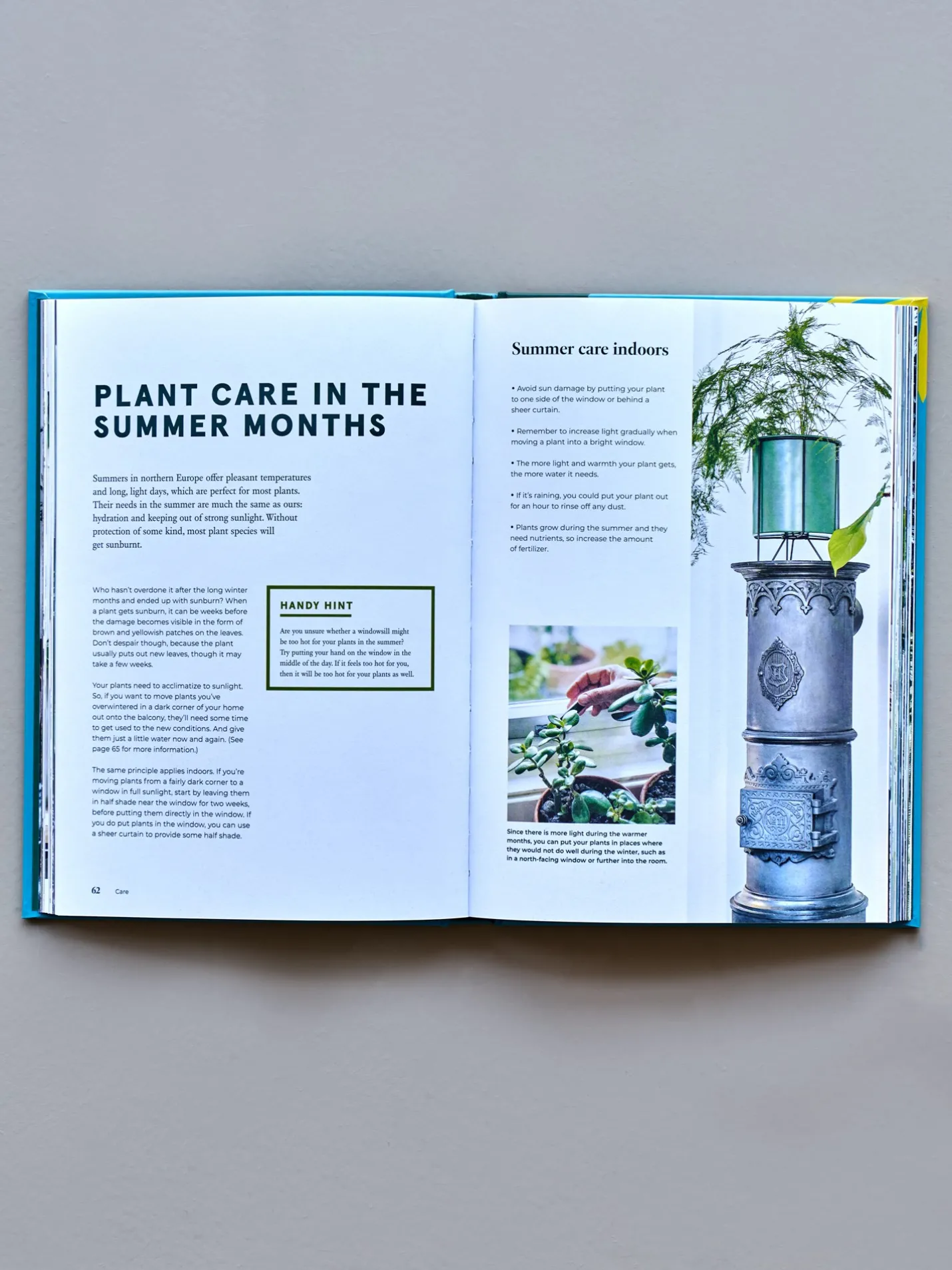 Søstrene Grene Schweiz Green Home - The Joy Of Living With Plants Mint Leaf