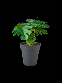 Clearance Søstrene Grene Schweiz Künstliche Blume Im Topf Dark Green