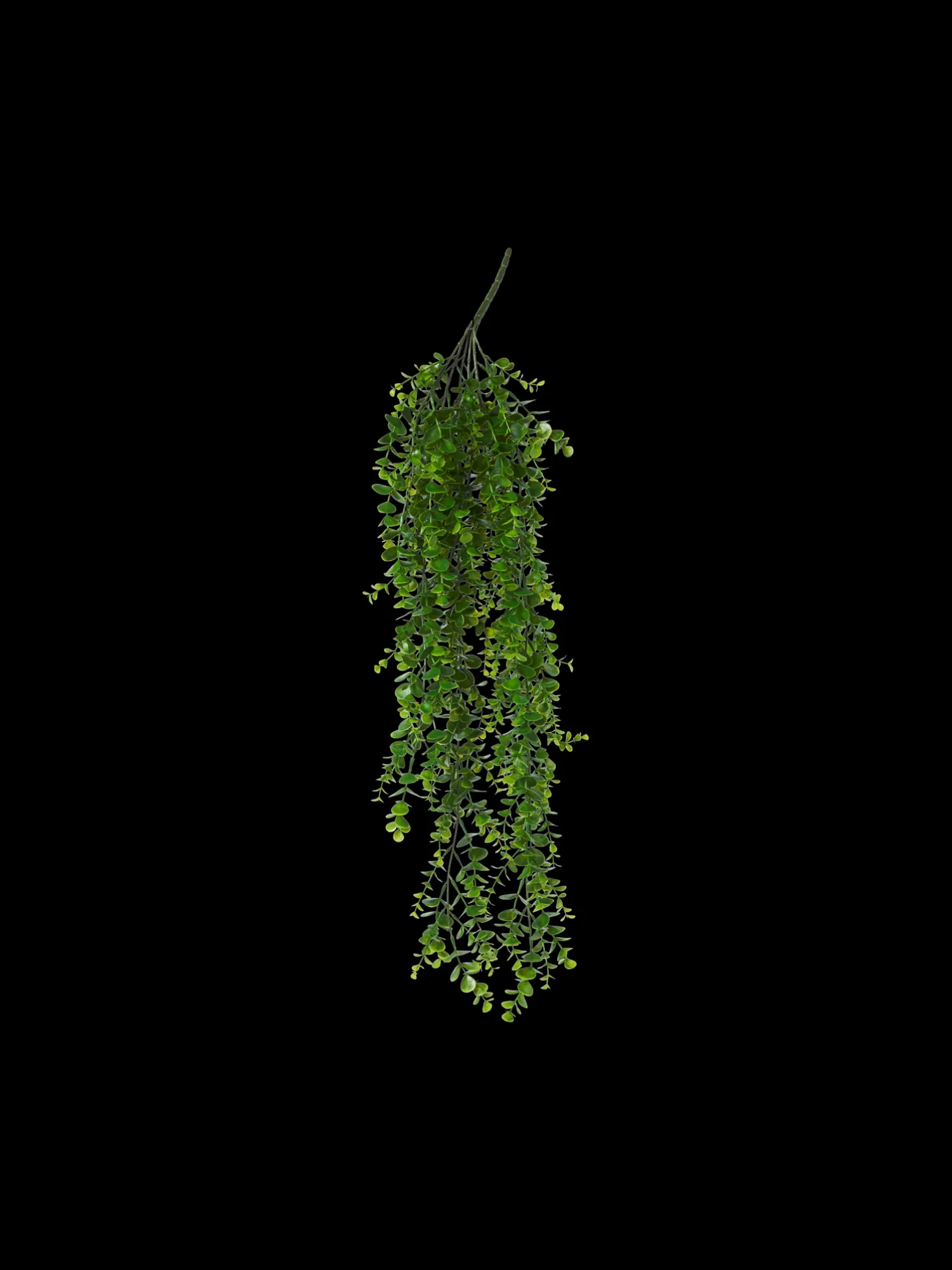 Online Søstrene Grene Schweiz Künstlicher Eukalyptus Moss Green