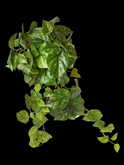 New Søstrene Grene Schweiz Künstlicher Pothos Moss Green