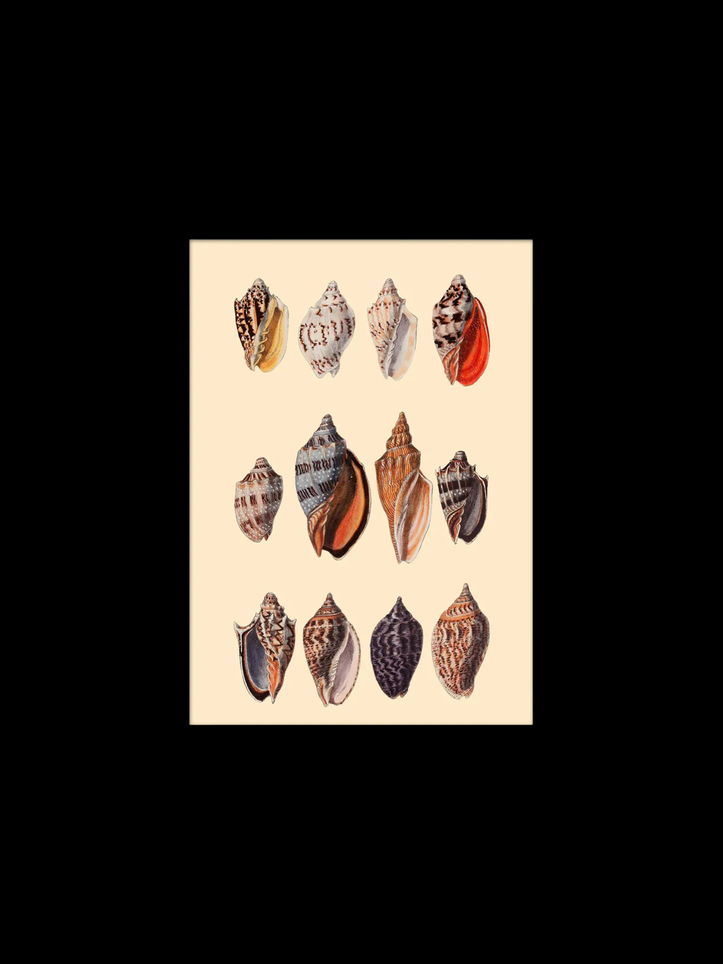 Sale Søstrene Grene Schweiz Poster 15 X 21 Multi