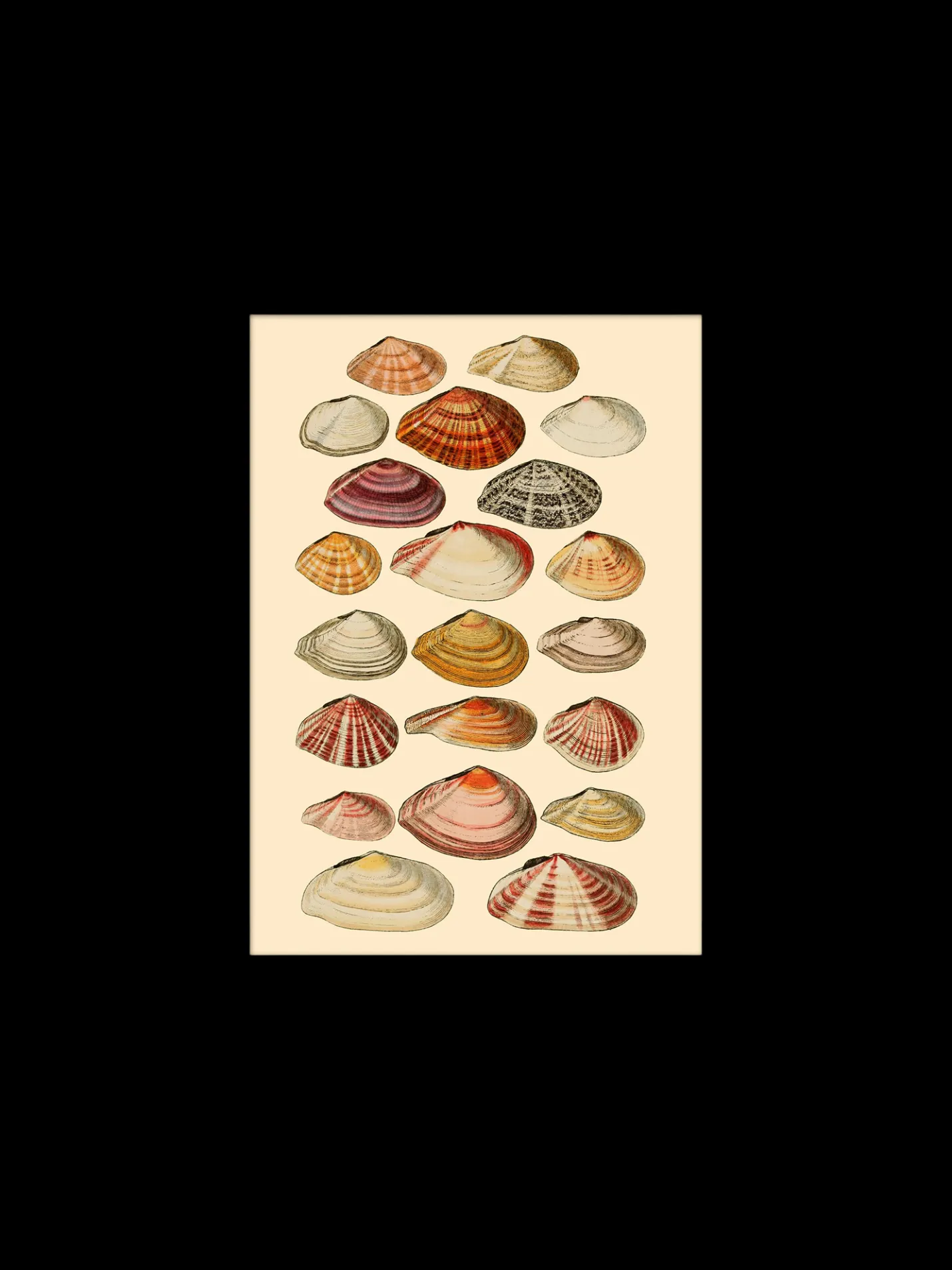 Hot Søstrene Grene Schweiz Poster 15 X 21 Multi