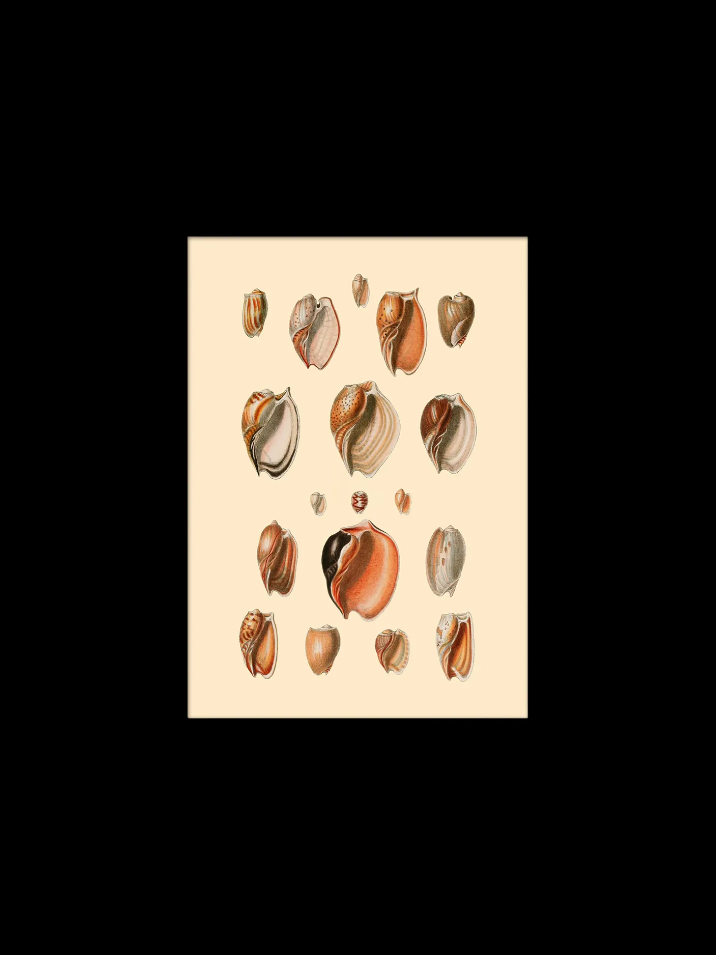 Outlet Søstrene Grene Schweiz Poster 15 X 21 Multi