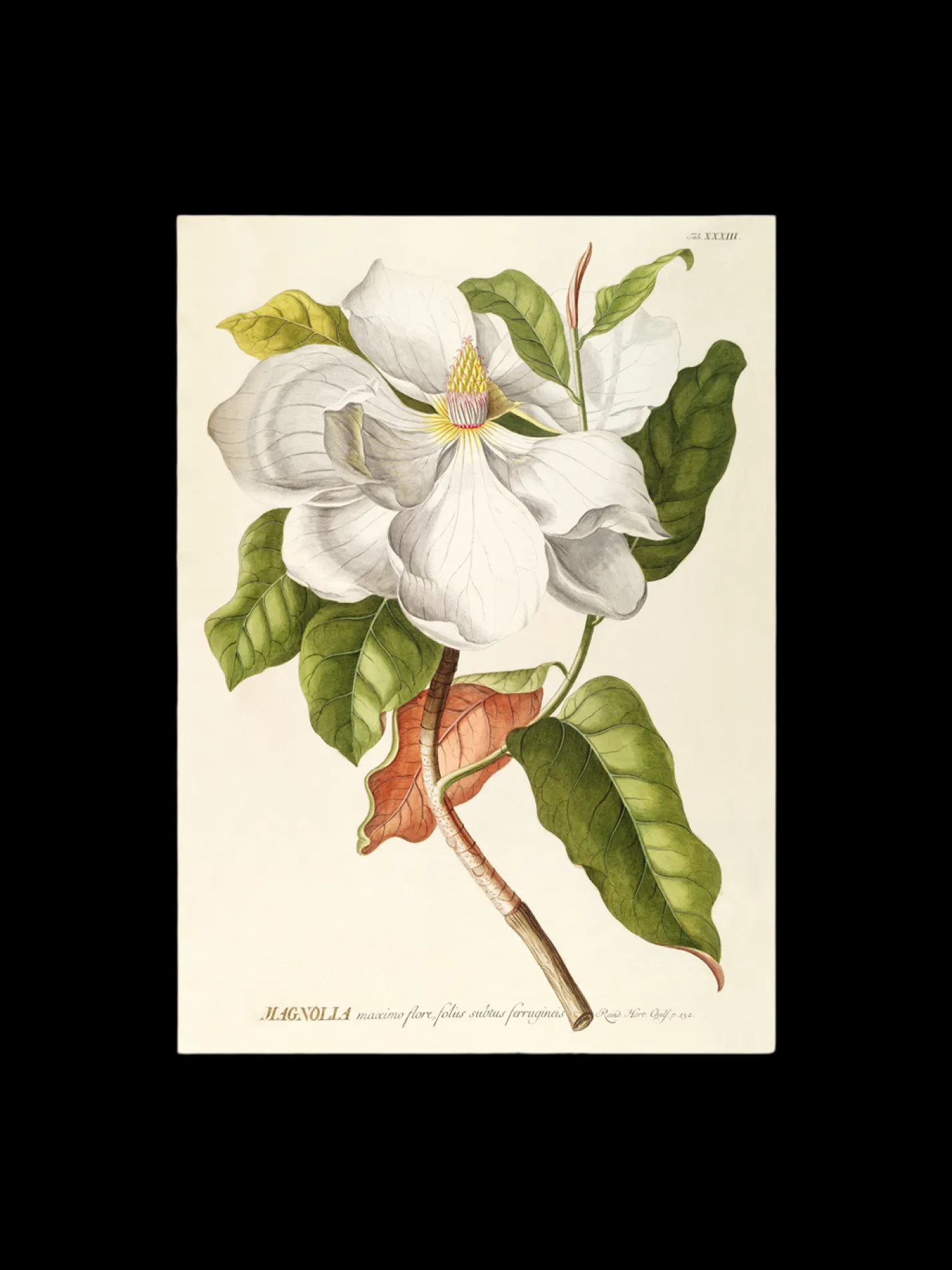 Best Søstrene Grene Schweiz Poster 50 X 70 Multi