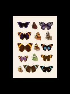 Søstrene Grene Schweiz Poster 50 X 70 Multi