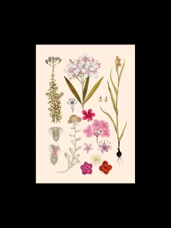 Outlet Søstrene Grene Schweiz Poster A3 Multi