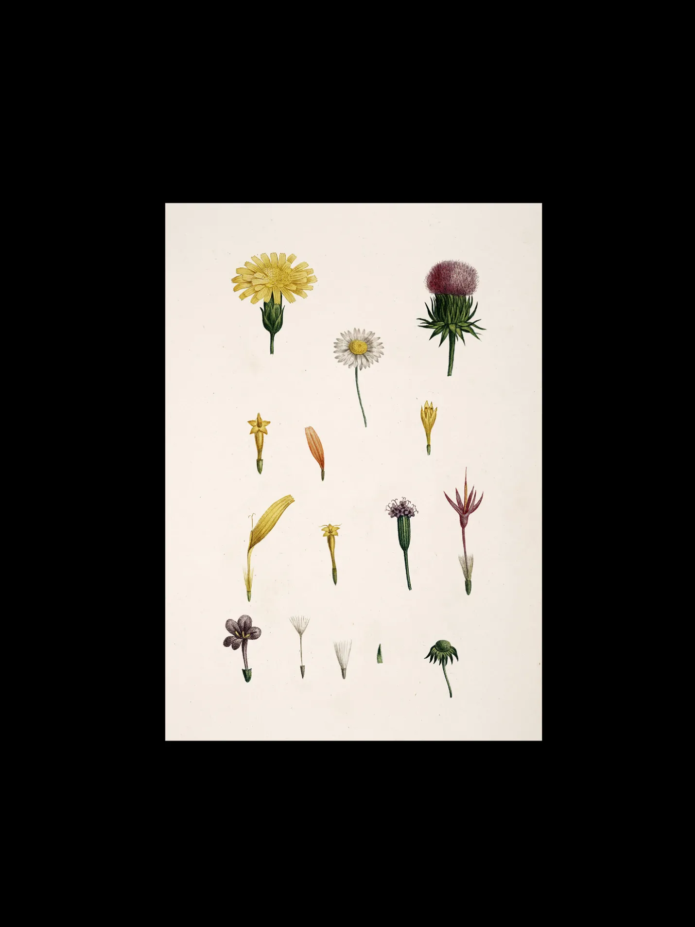 Sale Søstrene Grene Schweiz Poster A3 Multi