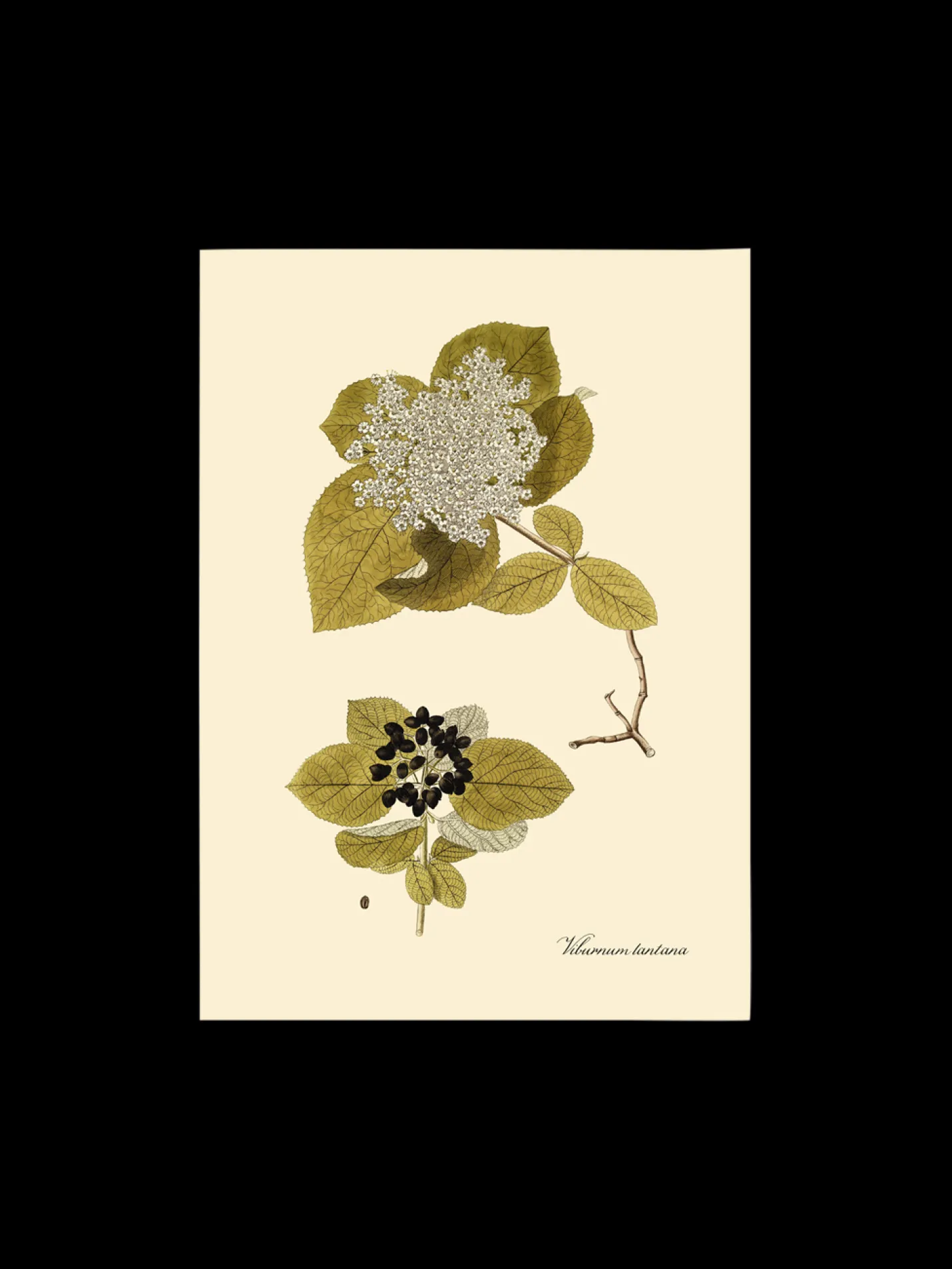 New Søstrene Grene Schweiz Poster A3 Multi