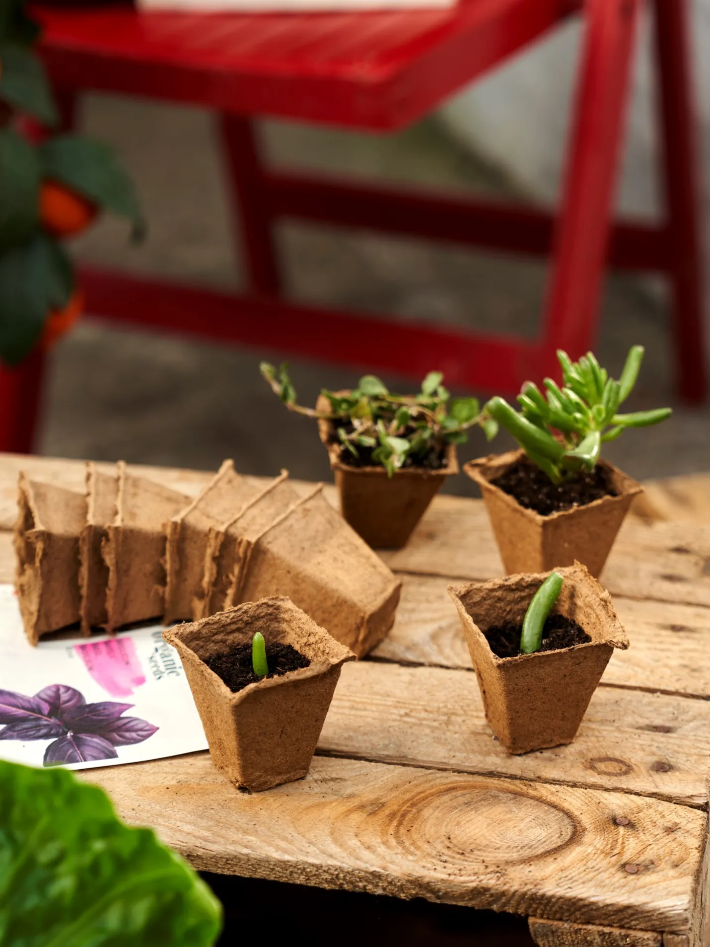 Outlet Søstrene Grene Schweiz SOGO Anzuchttöpfe Nature