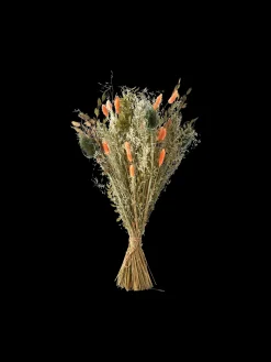 New Søstrene Grene Schweiz Trockenblumen Orange Medium Burned Orange