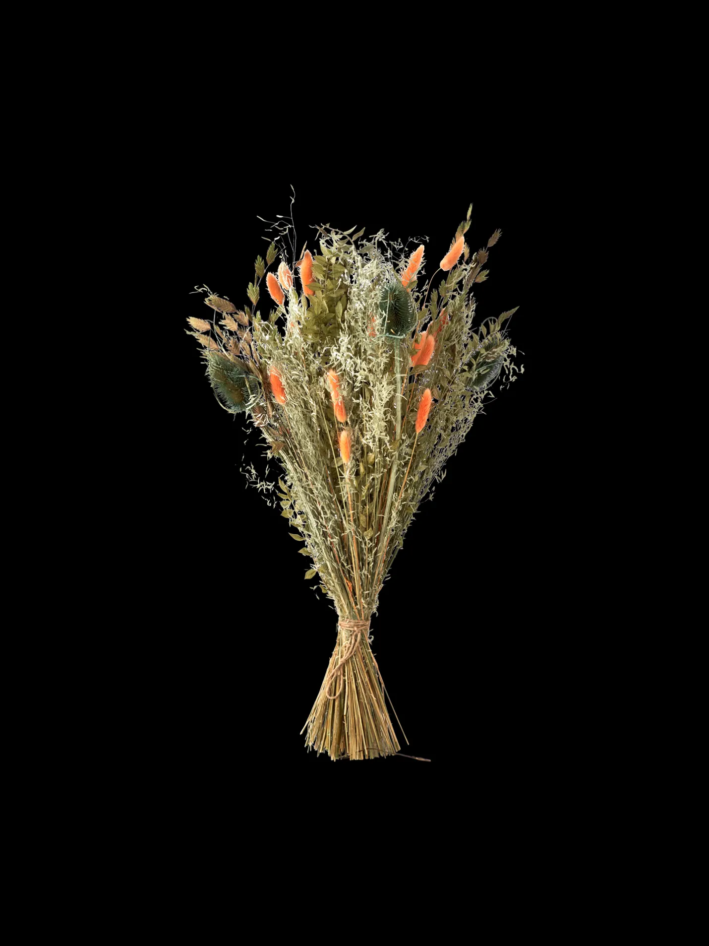 New Søstrene Grene Schweiz Trockenblumen Orange Medium Burned Orange