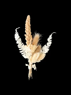Hot Søstrene Grene Schweiz Trockenblumen Zum Basteln Off White