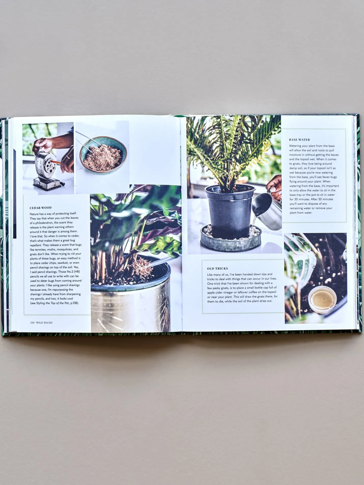 Best Søstrene Grene Schweiz Wild Creations Fern Green