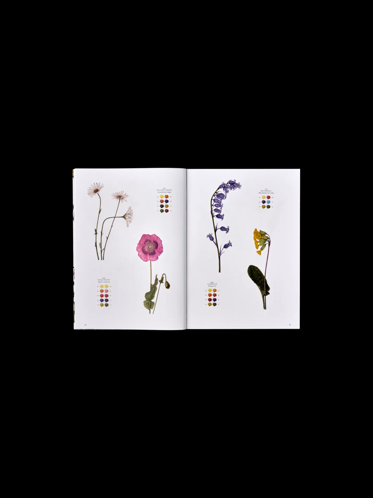 Hot Søstrene Grene Schweiz Wildflowers Off White