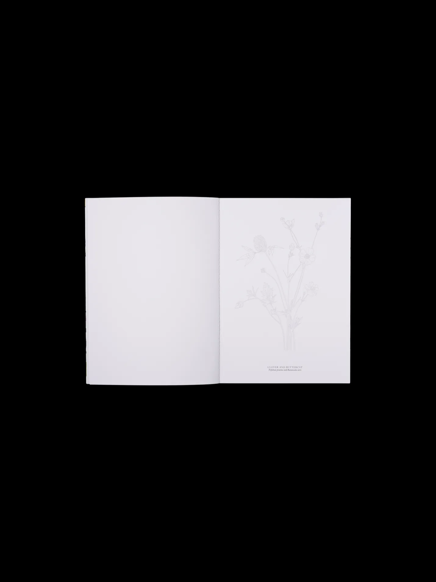 Hot Søstrene Grene Schweiz Wildflowers Off White